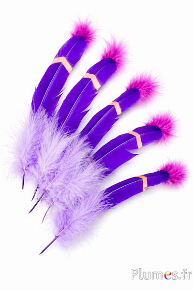 Oie - Plume indienne avec dessin - 30-35 cm - violet